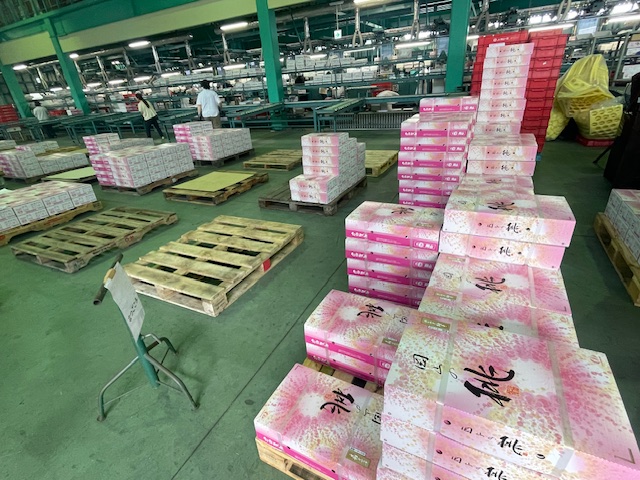 清水白桃出荷進発式