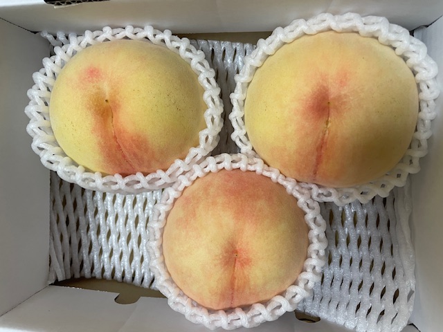 岡山産白桃