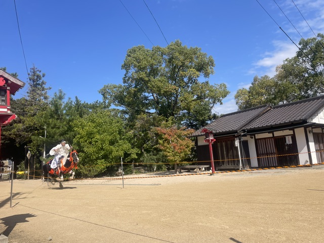 吉備津彦神社流鏑馬神事